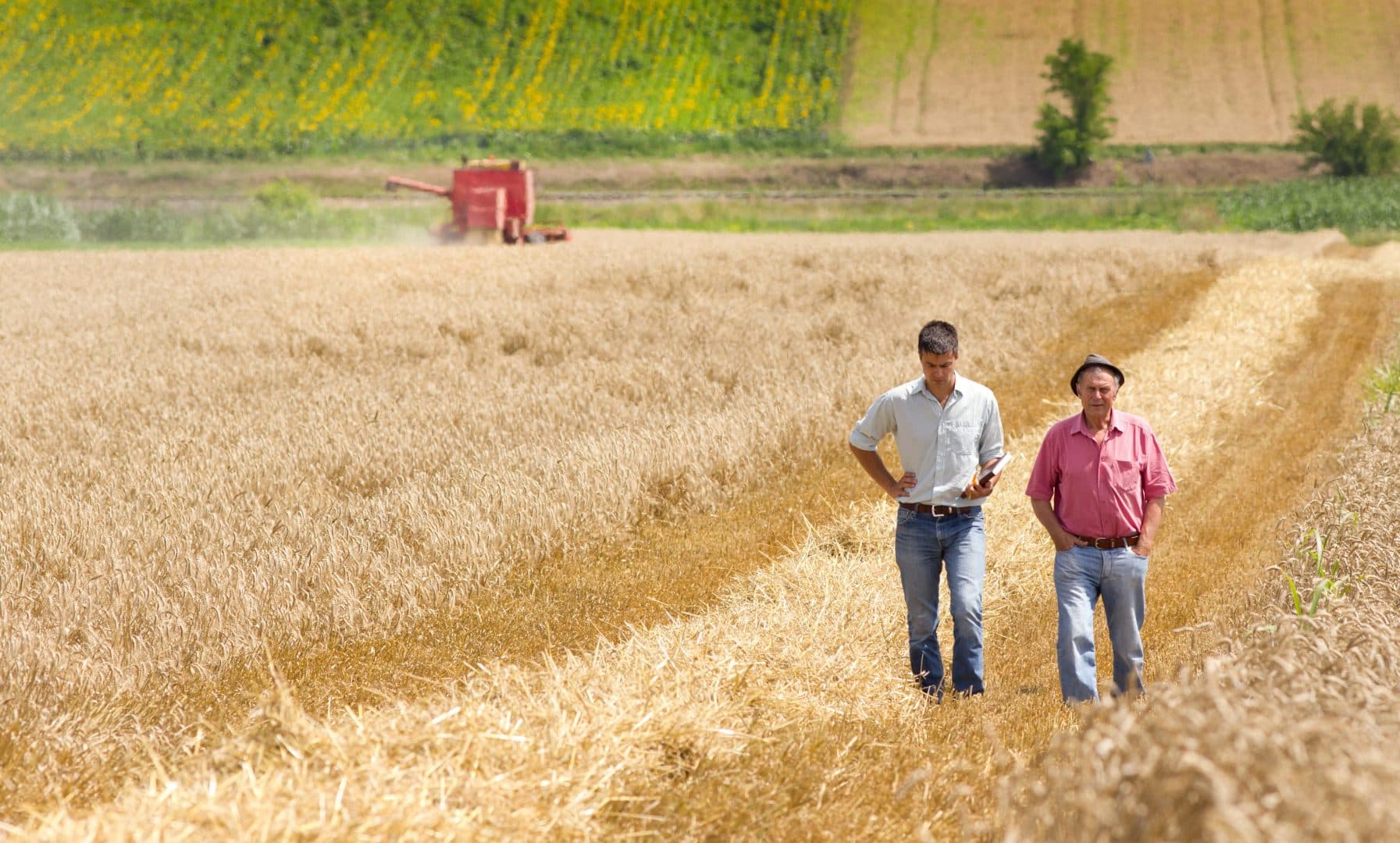 Farmland